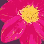 Dahlia blomma vektorgrafik